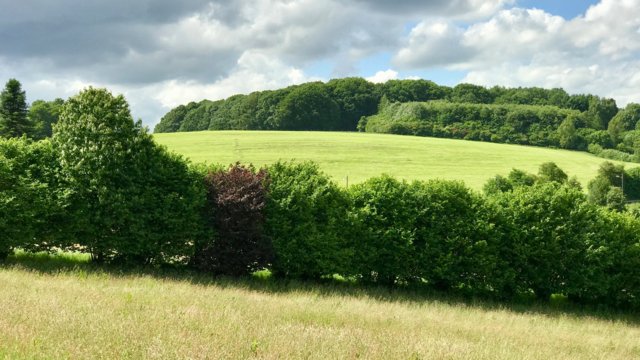 Sommerlandschaft Sommerlandschaft