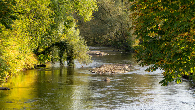 herbstliche Wupper in Wuppertal-Kohlfurth herbstliche Wupper in Wuppertal-Kohlfurth