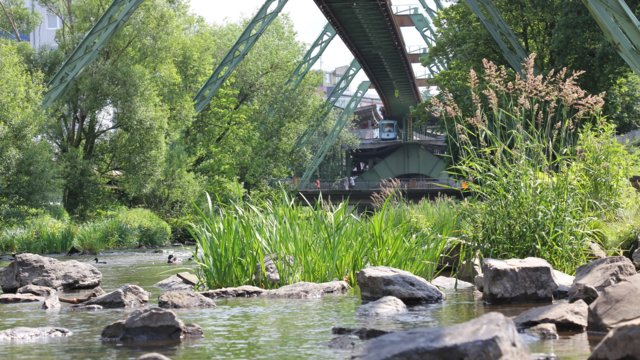 Steine und Inseln machen die Wupper lebendiger Steine und Inseln machen die Wupper lebendiger