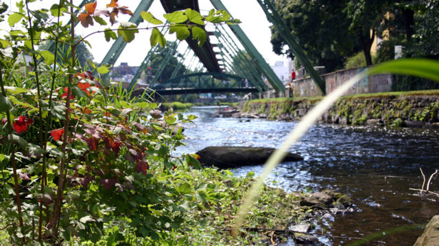 Wupper in W-Barmen Wupper in W-Barmen