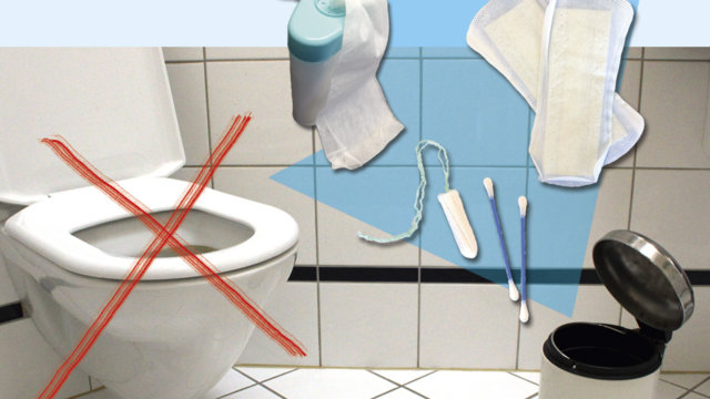 Feuchttücher, Lappen und Müll dürfen nicht ins WC. Feuchttücher, Lappen und Müll dürfen nicht ins WC.