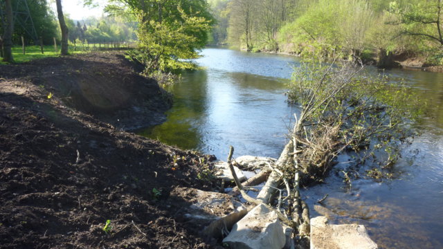 Wupper / Balker Aue Wupper / Balker Aue