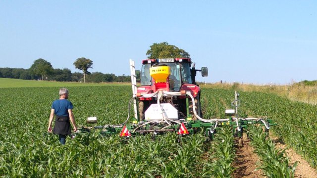 Unkrauthacke im Einsatz auf dem Feld Unkrauthacke im Einsatz auf dem Feld
