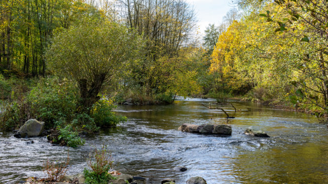 renaturierte Wupper in Wuppertal Laaken renaturierte Wupper in Wuppertal Laaken