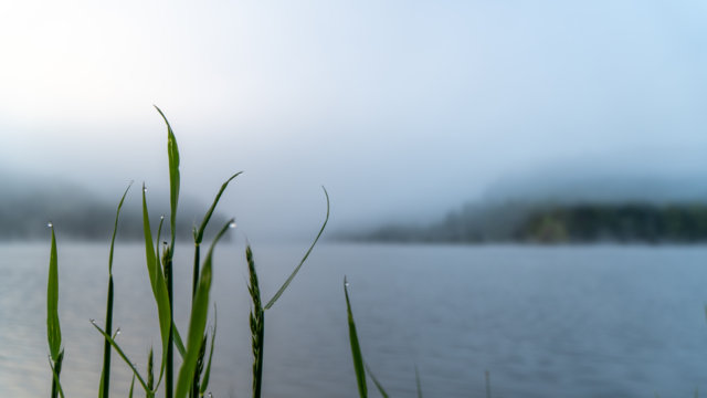 Regen an der Wupper-Talsperre Regen an der Wupper-Talsperre