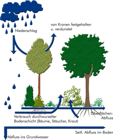 Einflussfaktoren Wasserströme Einflussfaktoren Wasserströme