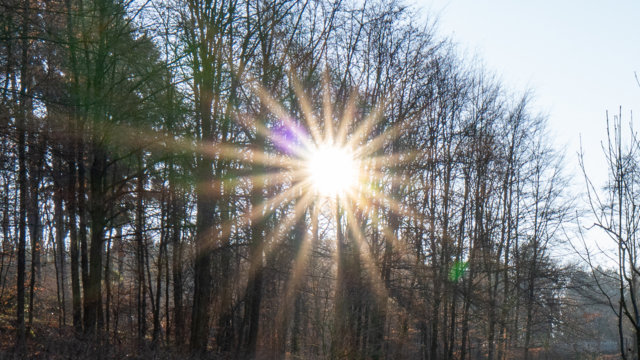 Sonne hinter Bäumen Sonne hinter Bäumen