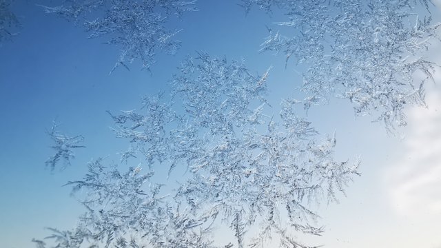 Eiskristalle an Fensterscheibe Eiskristalle an Fensterscheibe