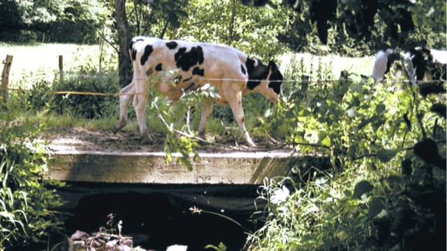 Kooperation Landwirtschaft - Wasserwirtschaft 