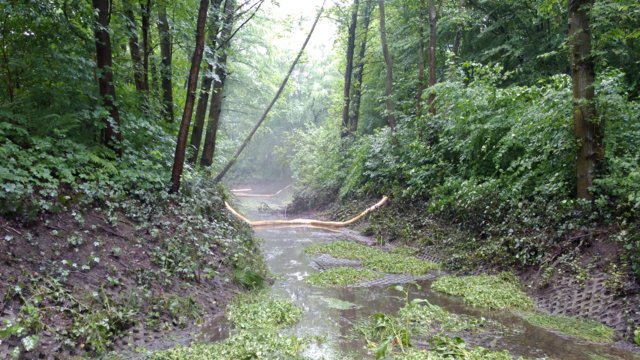 Ölsperren konnten Schlimmeres verhindern (hier: am Regenrückhaltebecken Winterhagen) Ölsperren konnten Schlimmeres verhindern (hier: am Regenrückhaltebecken Winterhagen)