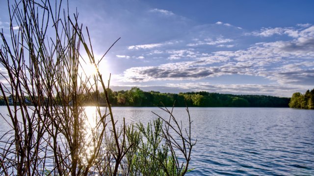 Bever-Talsperre stimmungsvoller Ausblick auf Wasseroberfläche Bever-Talsperre stimmungsvoller Ausblick auf Wasseroberfläche