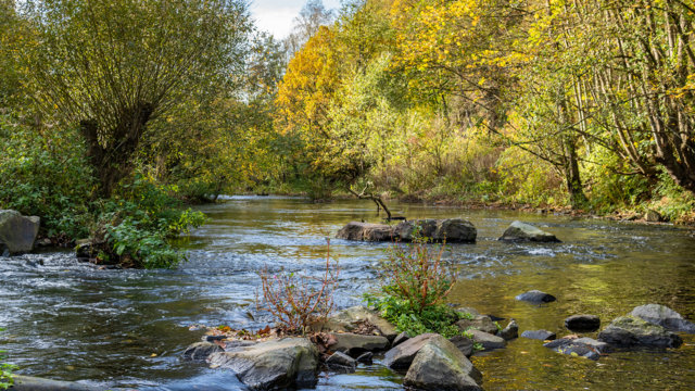 renaturierte Wupper in Wuppertal-Laaken renaturierte Wupper in Wuppertal-Laaken