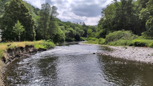 Wupper am Balkhauser Kotten Wupper am Balkhauser Kotten