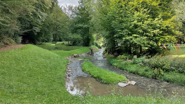renaturierter Murbach im Bereich Sinneswald renaturierter Murbach im Bereich Sinneswald