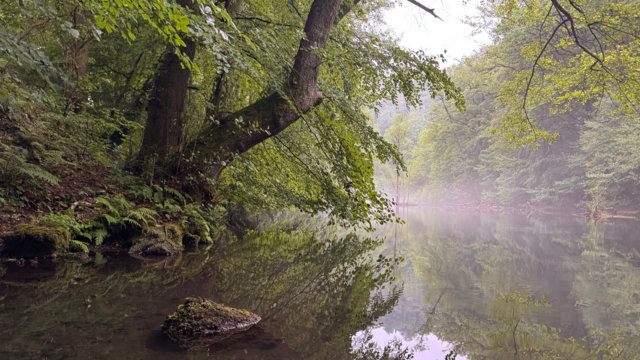 Wupper_Dahlerau