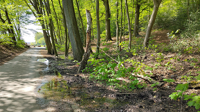 Hemte Wasser läuft auf Straße